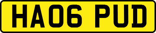 HA06PUD