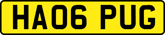 HA06PUG