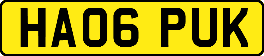 HA06PUK