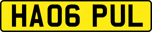 HA06PUL