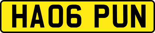 HA06PUN
