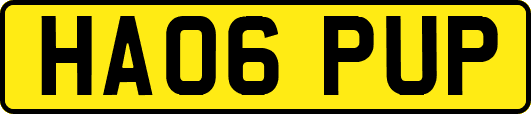 HA06PUP