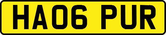 HA06PUR