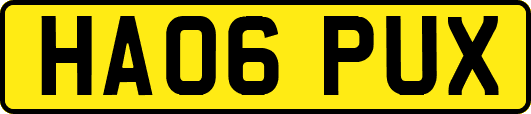 HA06PUX