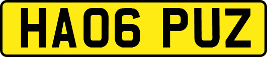 HA06PUZ