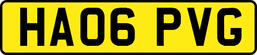 HA06PVG