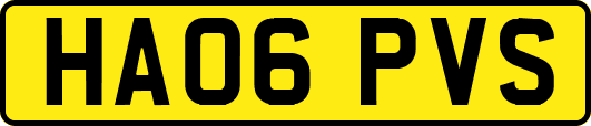 HA06PVS