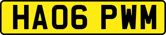HA06PWM