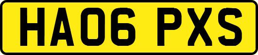 HA06PXS