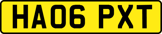 HA06PXT