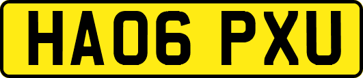 HA06PXU