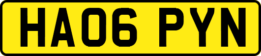 HA06PYN