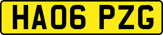 HA06PZG