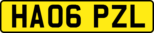HA06PZL