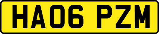 HA06PZM