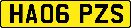 HA06PZS