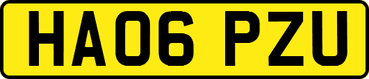 HA06PZU