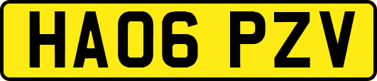 HA06PZV