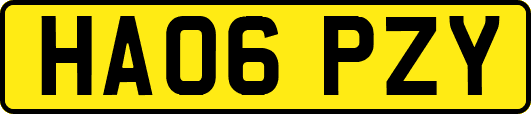 HA06PZY