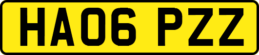 HA06PZZ