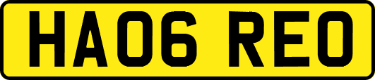 HA06REO