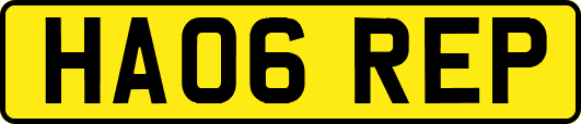 HA06REP