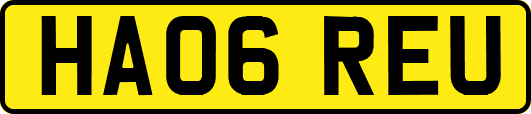 HA06REU
