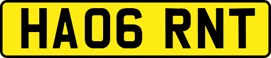 HA06RNT