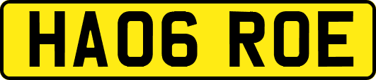 HA06ROE