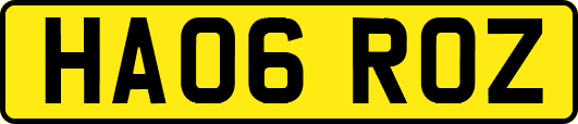 HA06ROZ