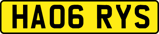 HA06RYS