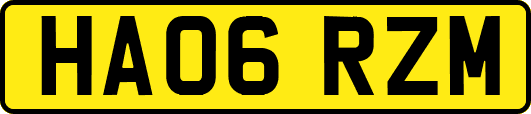 HA06RZM