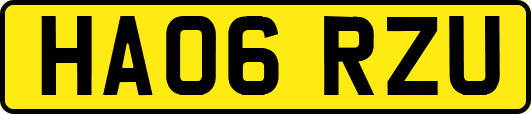 HA06RZU