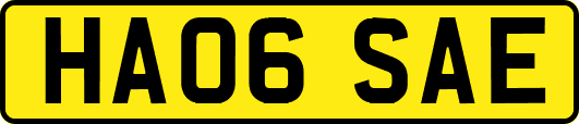 HA06SAE