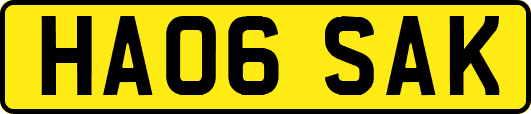 HA06SAK