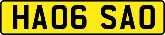 HA06SAO