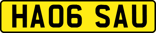 HA06SAU