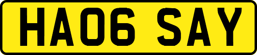 HA06SAY
