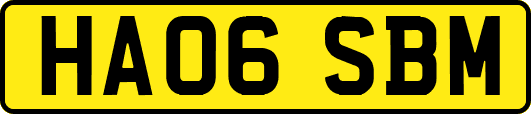 HA06SBM