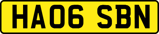 HA06SBN