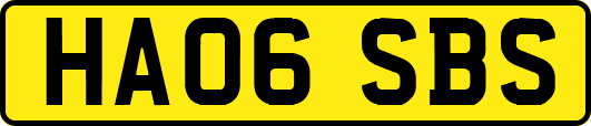 HA06SBS