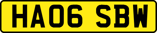 HA06SBW