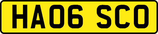 HA06SCO