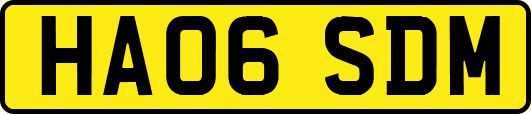 HA06SDM