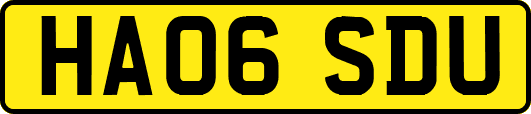 HA06SDU
