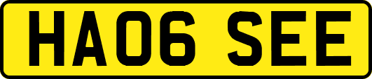 HA06SEE