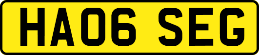 HA06SEG