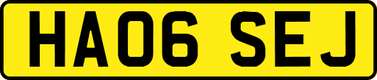 HA06SEJ