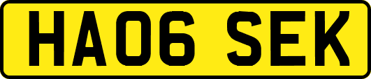 HA06SEK