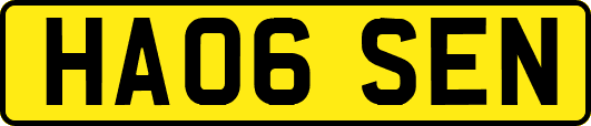 HA06SEN